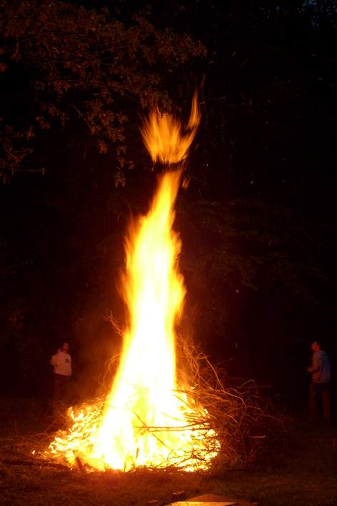 S6301598.JPG