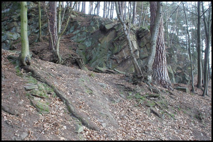 Pochod_2009_02.JPG
