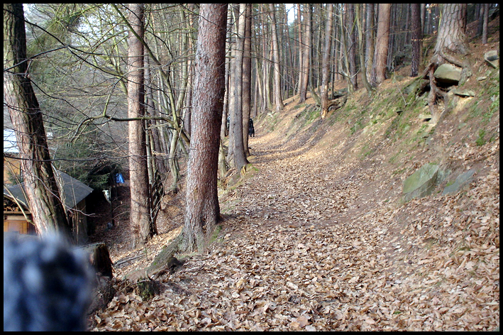 Pochod_2009_03.JPG