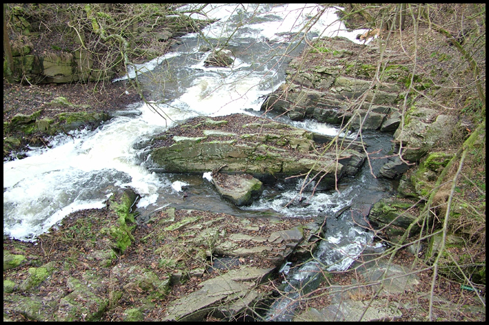 Pochod_2009_32.JPG