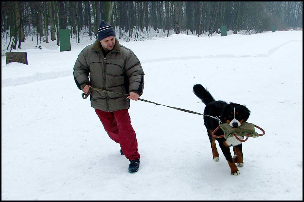 51_Met.jpg