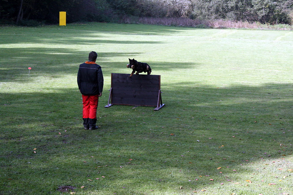 28_Chicco v. Houthrack - aport 1m