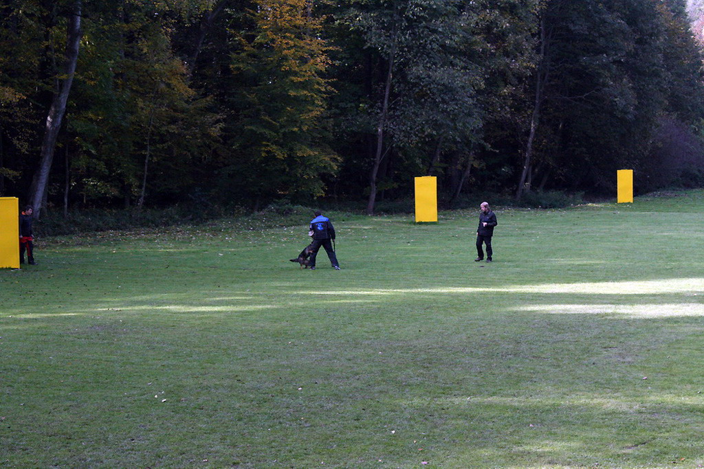 49_Chicco v. Houthrack - obrana