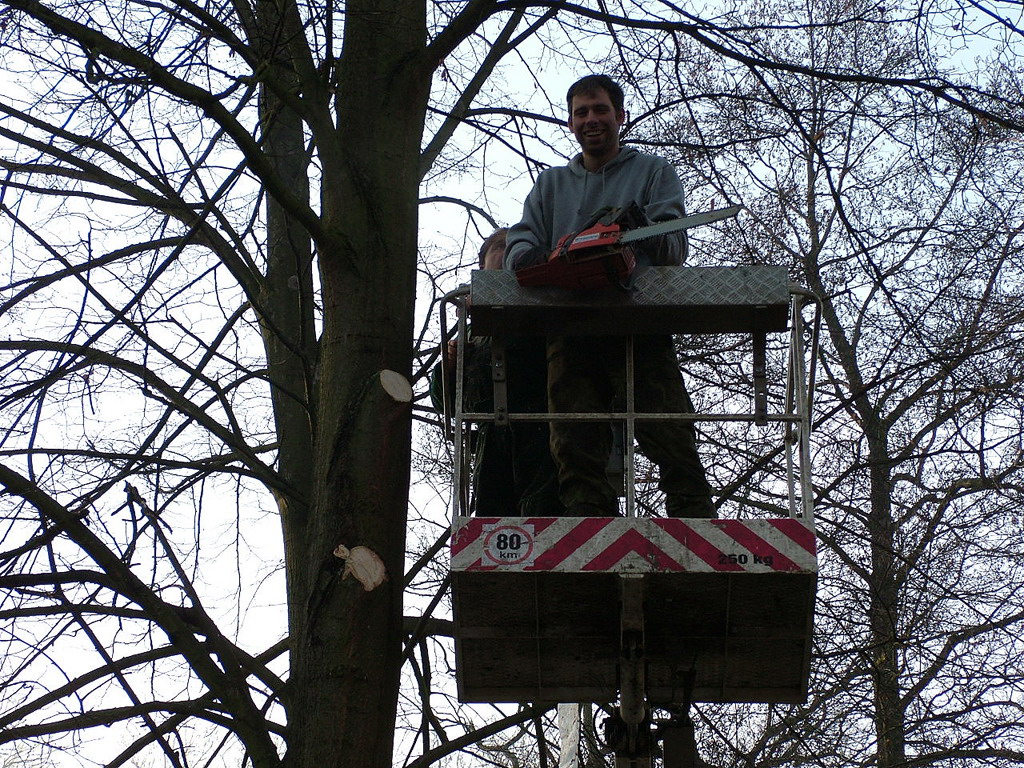 11_Prořezávání