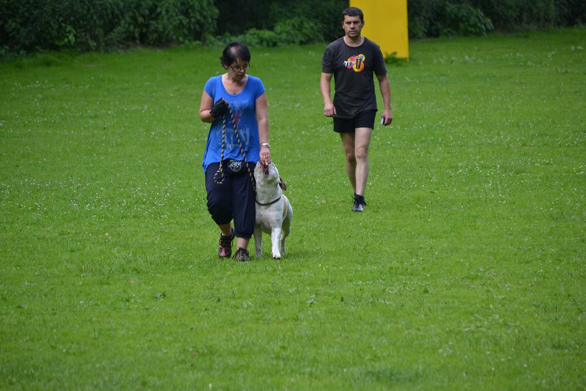 DSC_0037