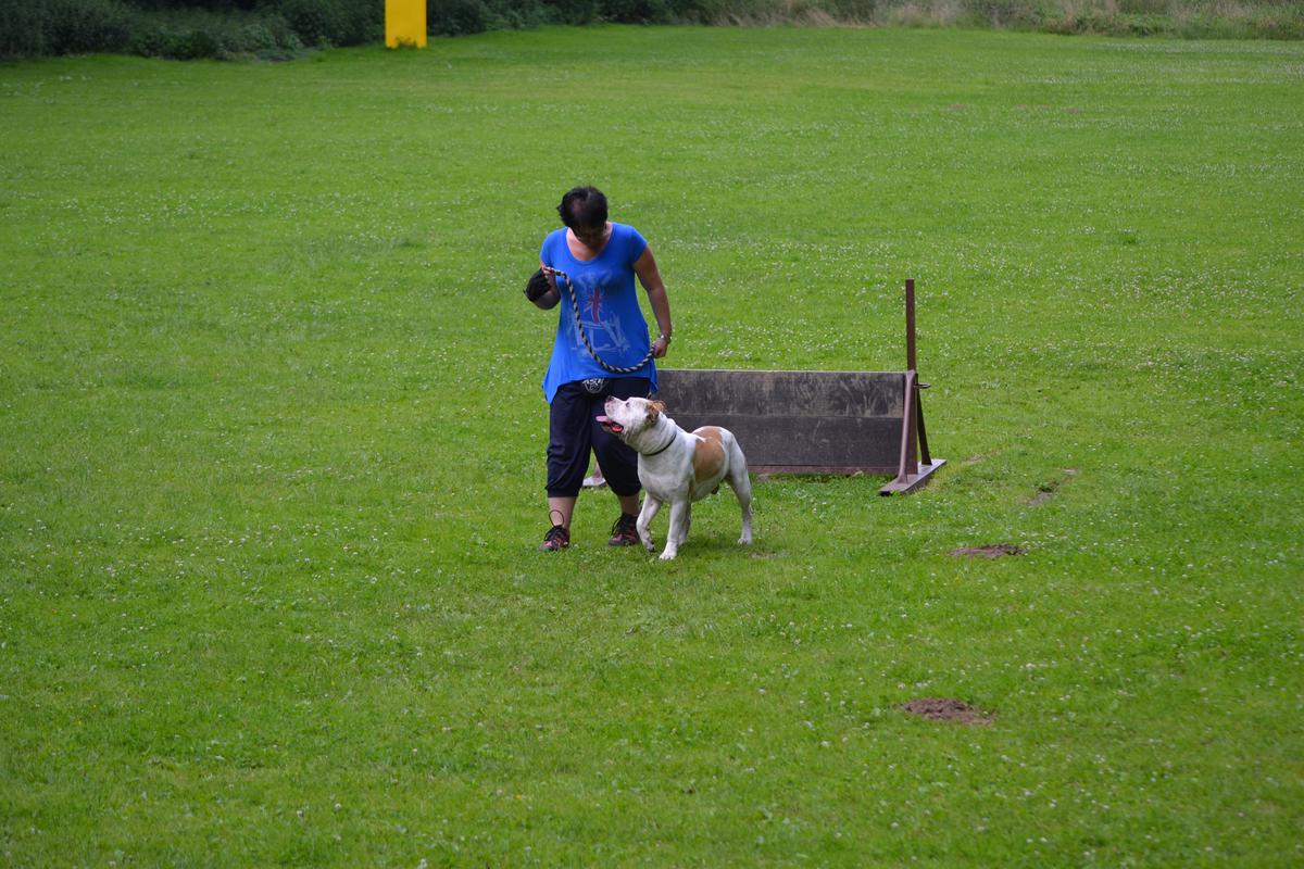DSC_0051