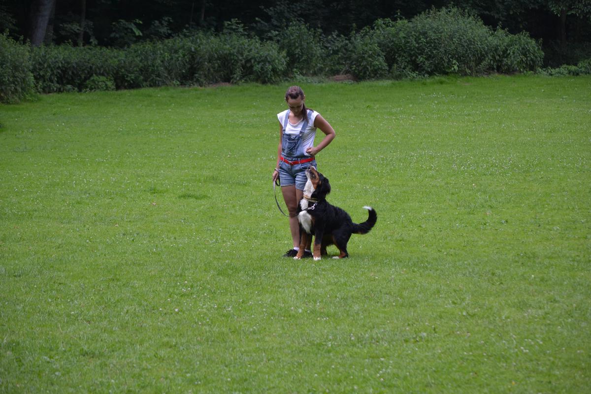 DSC_0171