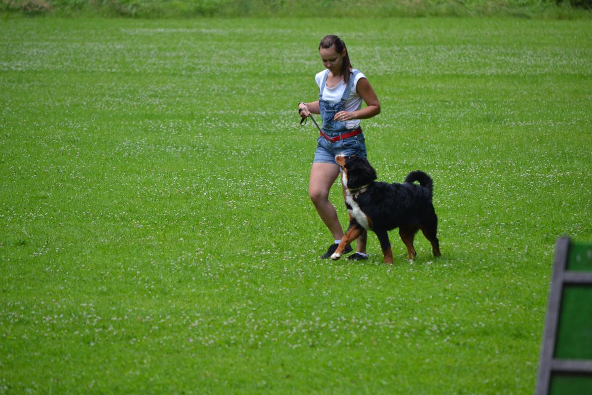 DSC_0187