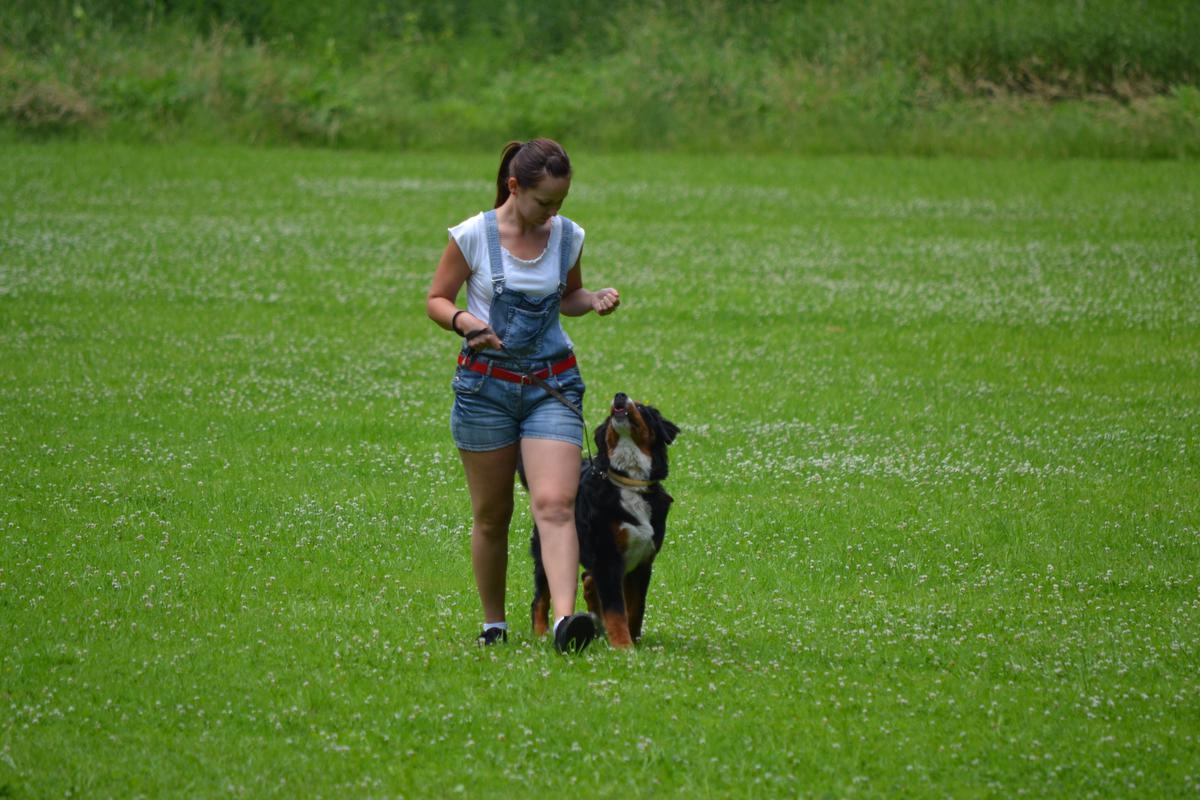 DSC_0191