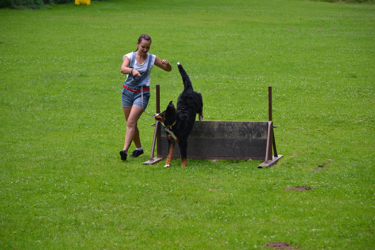 DSC_0201