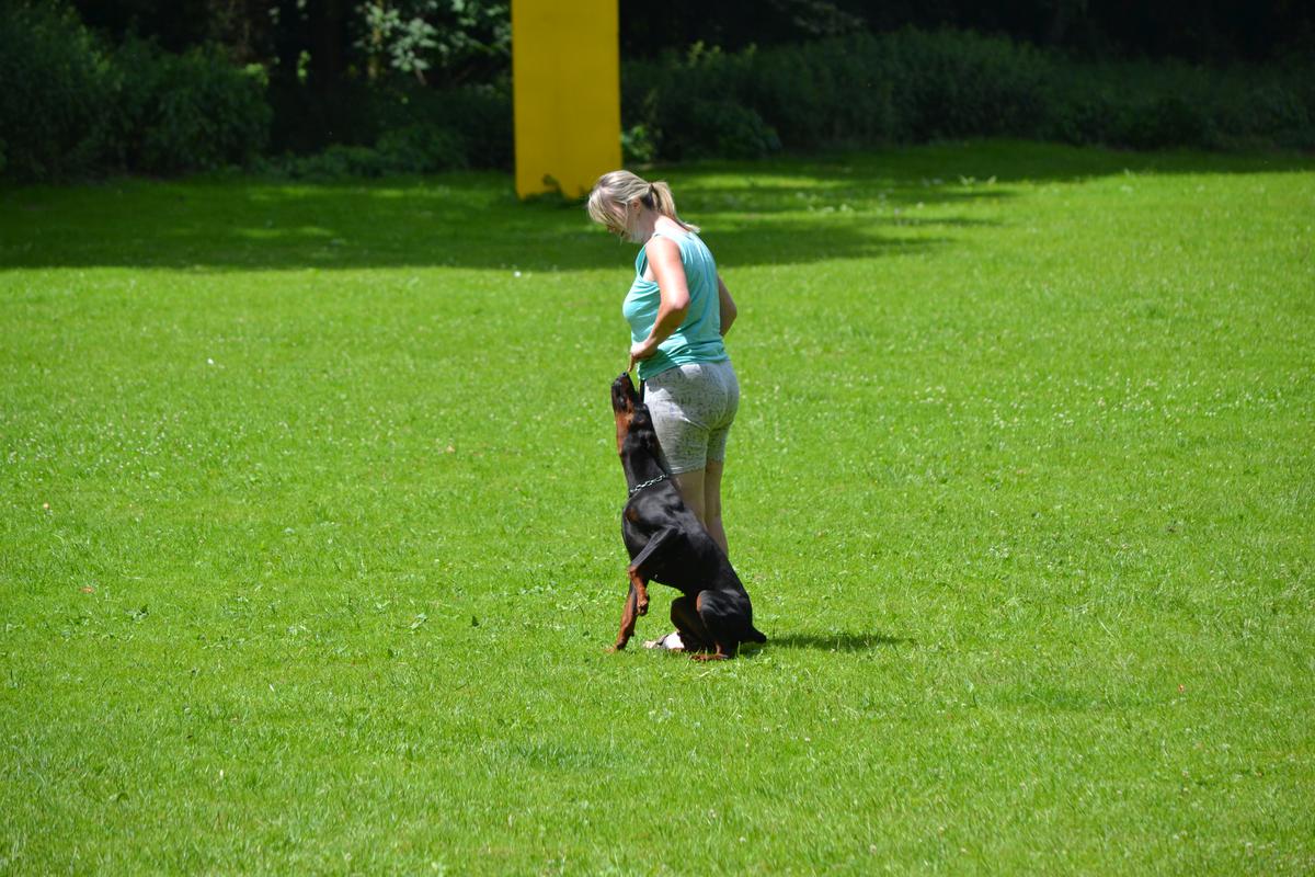 DSC_0223
