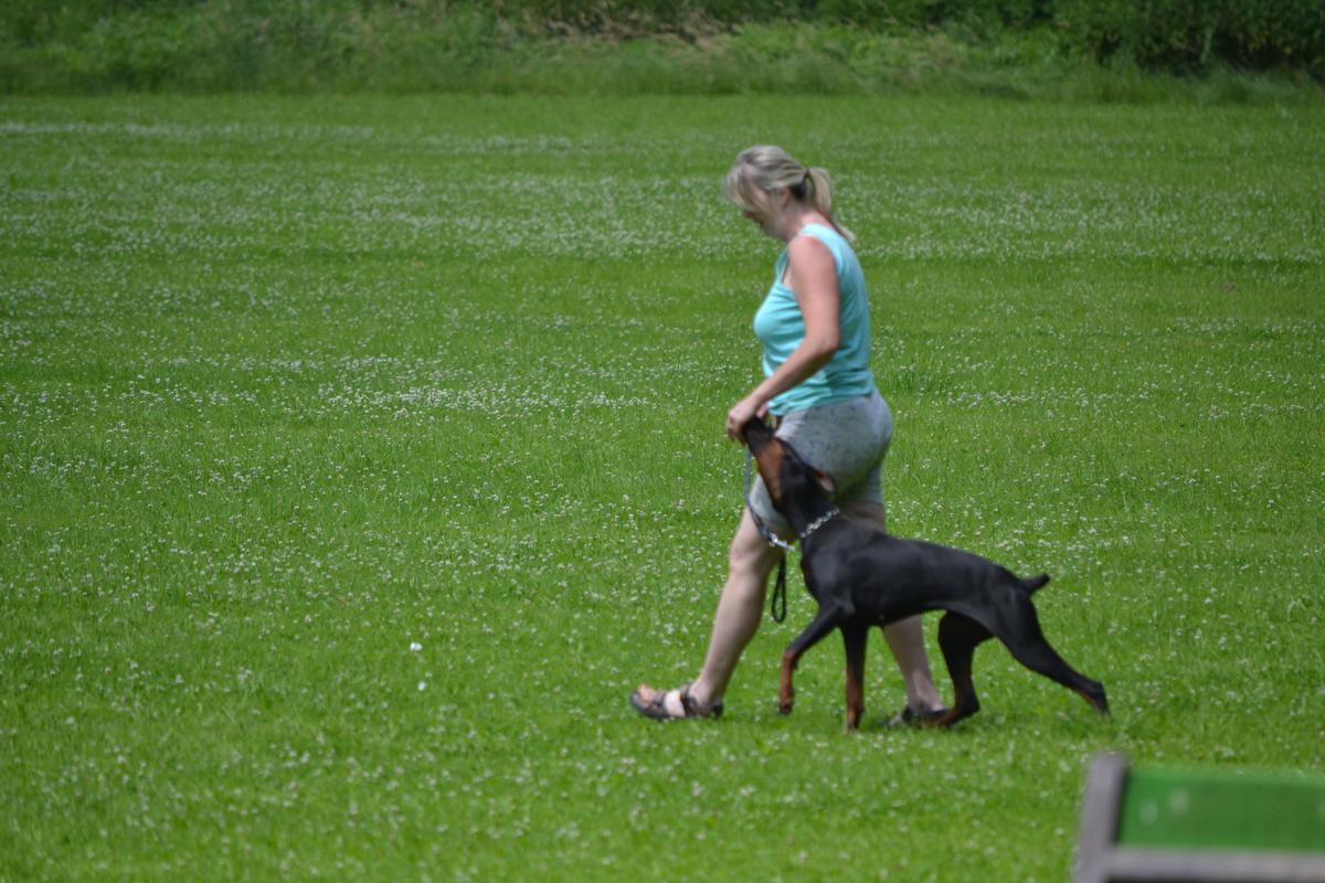 DSC_0233