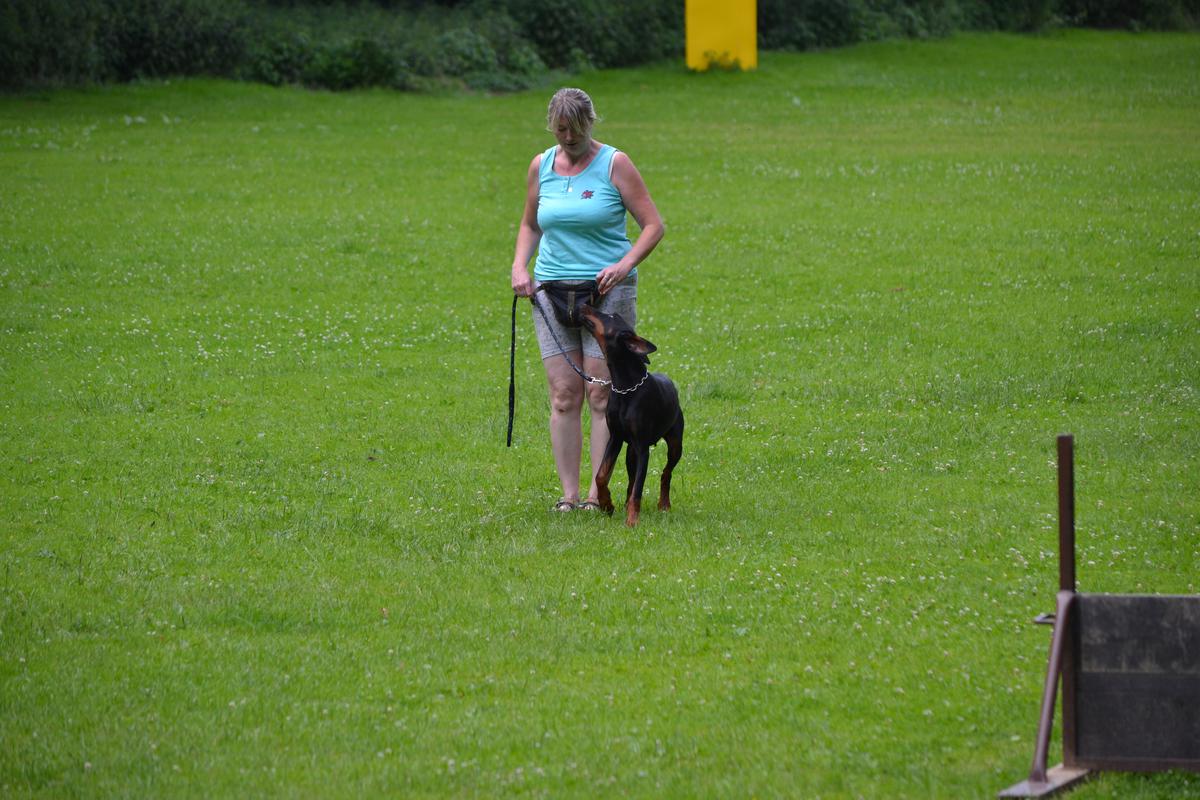 DSC_0241