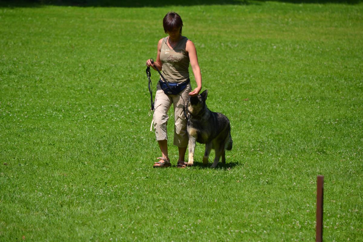 DSC_1448