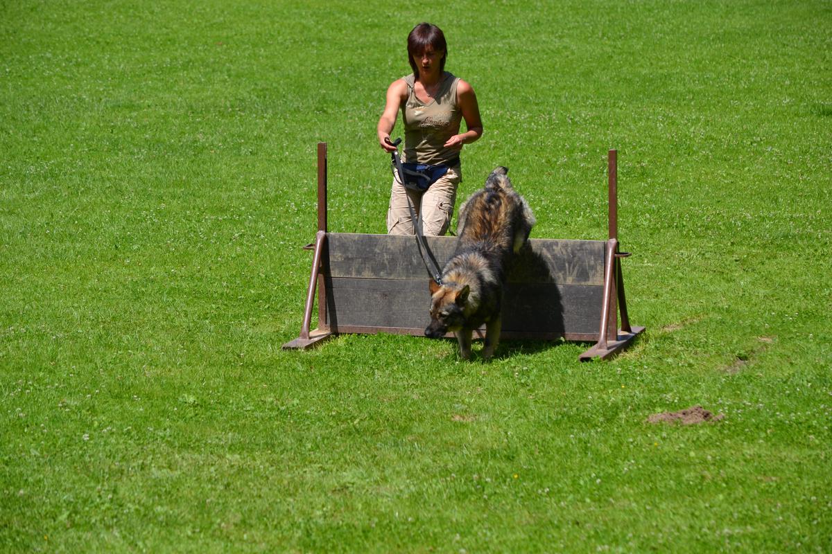 DSC_1451