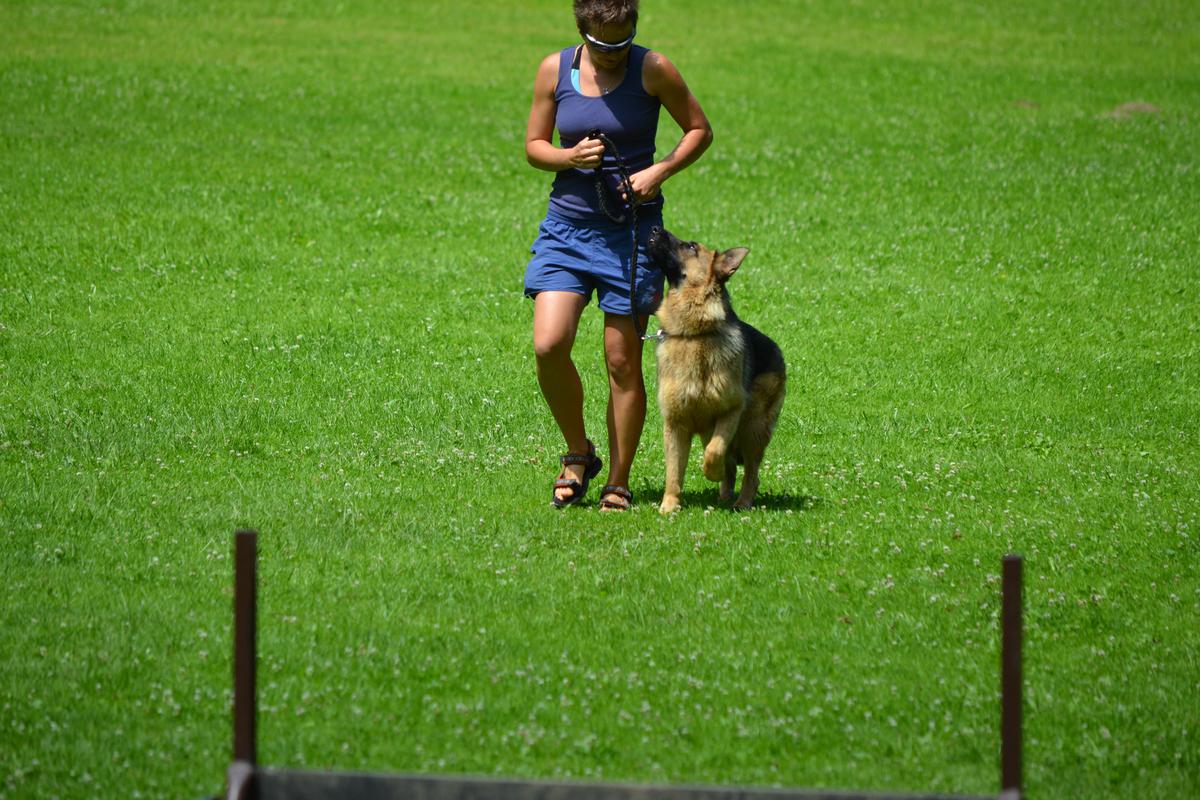 DSC_1518