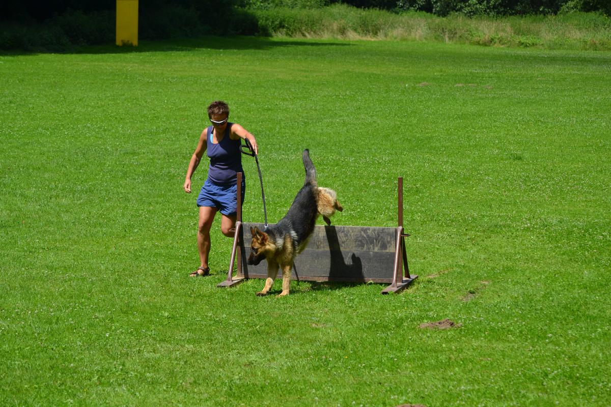 DSC_1522